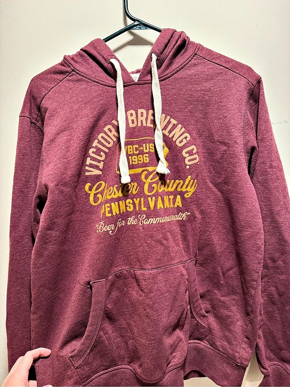 Graphic Hoodie in Burgundy